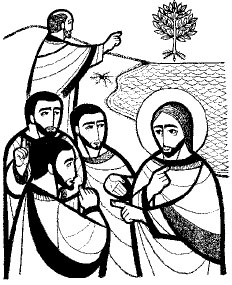 Lectio Divina: Chúa Nhật XXVII Thường Niên (C)