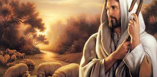 Lectio Divina: Chúa Nhật XXIII Thường Niên (C)