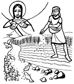 Lectio Divina: Chúa Nhật XV Thường Niên (A)