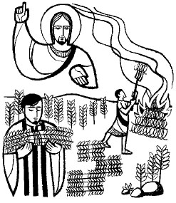 Lectio Divina: Chúa Nhật XVI Thường Niên (A)